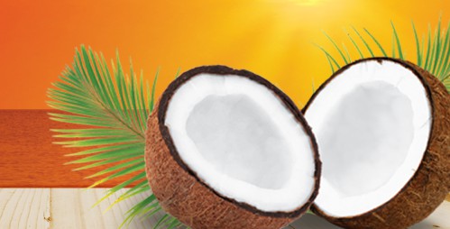 Coconut