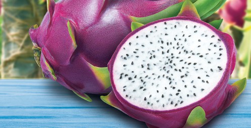 Dragon Fruit